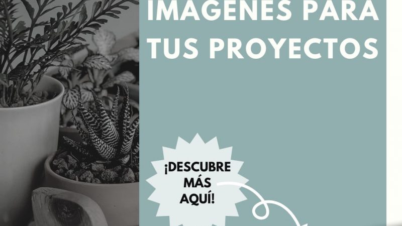 Bancos de imágenes gratuitos y de pago