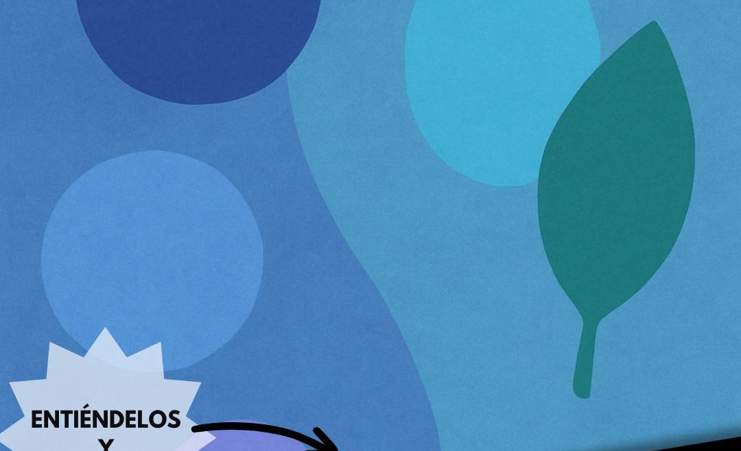 Los colores fríos y cómo aplicarlos en tu vida