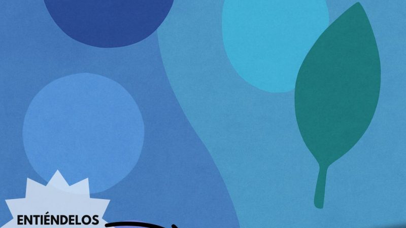 Los colores fríos y cómo aplicarlos en tu vida